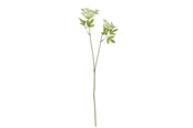 Dekoracje - Bloomingville Fennel - 82061507