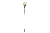 Dekoracje - Bloomingville Lily - 82061508
