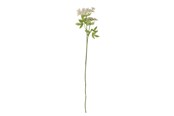Dekoracje - Bloomingville Fennel - 82061513