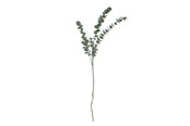Dekoracje - Bloomingville Eucalyptus - 82061514