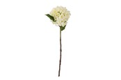 Dekoracje - Bloomingville Hydrangea - 82061515