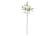 Dekoracje - Bloomingville Eucalyptus - 82061520