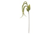 Dekoracje - Bloomingville Foxtail - 82061539