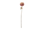Dekoracje - Bloomingville Chrysantemum - 82072031