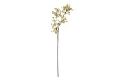 Dekoracje - Bloomingville Waxflower - 82072037