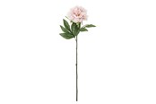 Dekoracje - Bloomingville Peony - 82072094