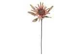 Dekoracje - Bloomingville Protea - 82072832