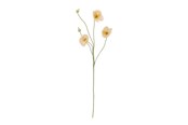 Dekoracje - Bloomingville Poppy - 82072833