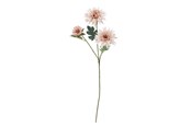 Dekoracje - Bloomingville Chrysantemum - 82072834