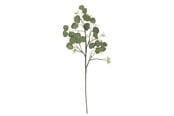 Dekoracje - Bloomingville Eucalyptus - 82072835