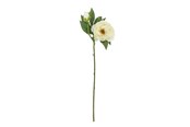 Dekoracje - Bloomingville Peony - 82072839