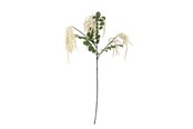 Dekoracje - Bloomingville Reed - 82072841