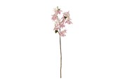 Dekoracje - Bloomingville Chrysantemum - 82072846