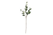 Dekoracje - Bloomingville Eucalyptus - 82072850