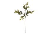 Dekoracje - Bloomingville Eucalyptus - 82072851