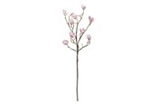 Dekoracje - Bloomingville Magnolia - 82072844