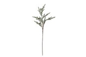 Dekoracje - Bloomingville Pine - 82072349