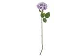 Dekoracje - Bloomingville Rose - 82061524