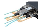 Kabel sieciowy - LevelOne 100GBase-AOC direct attach cable - 2 m - Niebieski - 2m - AOC-0502
