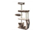 Koty - NAYECO Cat Scratcher BOENY CAPPUCCINO 60 x 40 x 147 cm - 8427458008761