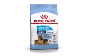 Psy - Royal Canin Maxi Starter Mother & Babydog - 3182550778787