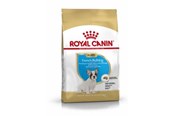 Psy - Royal Canin French Bulldog Puppy - 3182550777674