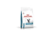 Koty - Royal Canin VET FELINE HYPOALLERGENIC DR25 2.5 kg - 3182550939478