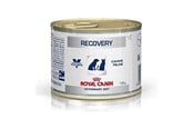 Psy - Royal VET CANINE RECOVERY Box of 12 x 195 g - 9003579016091