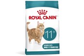 Koty - Royal Canin ROYAL AGEING 11+ STERILISED Dry Food Cat Senior 1 - 3182551066036