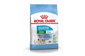 Psy - Royal CANINE STARTER Mini 4 kg - 3182550932707