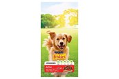 Psy - PURINA NESTLE Friskies Active - dry dog food - 10 kg - 7613031395484