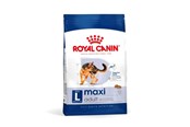 Psy - Royal Canin Maxi Adult L - dry dog food - 4kg - 3182551055917