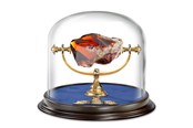 Drobiazgi - Harry Potter - Sorcerer's Stone Display - NN7386