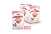 Koty - Royal Canin FHN Kitten Instinctive in jelly - wet food for kittens - 12x85g - 9003579311783