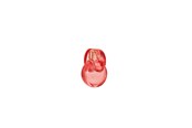 Perfumy i zapachy - Bvlgari Omnia Coral Eau de toilette - 100 ml - 783320425493