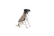 Psy - Chill Kuzzi Beroligende Hoodie 30 cm grå - 380430