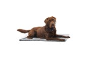 Psy - KRUUSE Vet Bed Anti-slip grå 75 x 50 cm - 381614