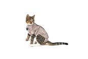 Koty - KRUUSE BUSTER Body Suit Step'n Go dla kota, XXXS - 273946