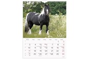 Kalendarz - Mayland Vægkalender Heste 2027 - 27066310
