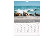 Kalendarz - Mayland Vægkalender Verdens dyr 2027 - 27066330