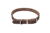 Psy - Timely PRAG Obroża ciemnobrązowa 16 mm. / 40 cm. - 5907784896988
