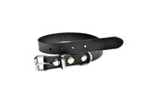 Psy - Timely PRAG Obroża Czarna 12 mm. / 35 cm. - 5907784897077