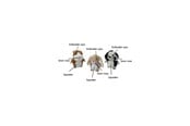 Psy - Party Pets Mix Ferret, Rabbit, Dalmatian 18 cm - 87962