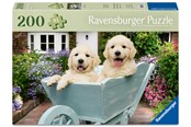 Puzzle - Ravensburger Golden Retriever 200p Ad - 12001368