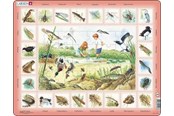 Puzzle - Larsen Puzzles Nature Puzzle: Pond – 48 pieces Maxi (36.5 x 28.5 cm) Podłoga - NA3