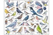 Puzzle - Larsen Puzzles Garden Birds Jigsaw Puzzle – 69 pieces Maxi (36.5 x 28.5 cm) Podłoga - ZOO4-V1