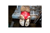 Kon - KRUUSE BOVIVET Hoof Bandage 10/pk - 220420