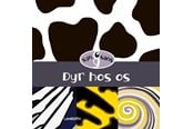 Ksiazki dla dzieci - Dyr hos os - 9788775664962