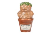 Drobiazgi - Paladone - Harry Potter - Mandrake and Plant Pot Salt and Pepper Shakers - 5056888312976