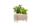 Dekoracje - Simiu - Thalor Herbs - doniczka na zioła - Duża - 5714255019612